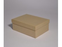 Kutija karton 19cm dužine 19x13/7cm