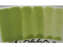 Engoba Pea green 59ml