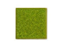 Botz glazura snake green 800ml
