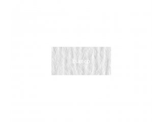 Papir Fabriano 35x50 220g bianco