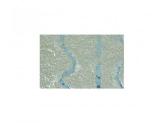 Metallic  flosing colour 50g