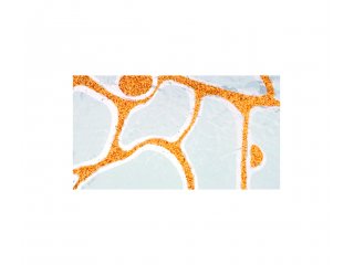 Orange 2mm 20 x 60 cm