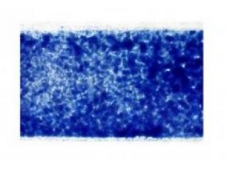 Dark Blue Trans. Flo.frist G/0 100g
