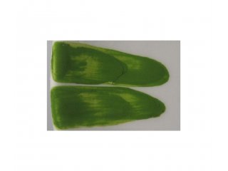 Dekorativna boja 100g B zelena grašak