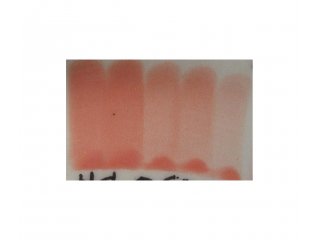 Engoba Coral reef 59ml