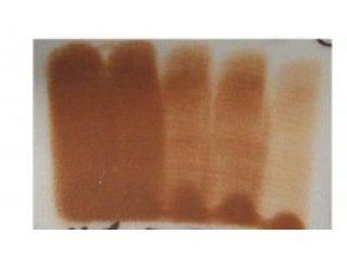 Engoba Terra di siena 59ml