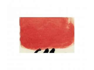 Engoba Lacquer red 473ml