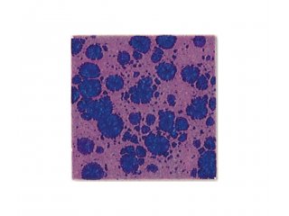 Botz glazura anemone 200ml