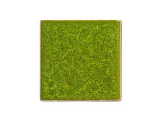 Botz glazura snake green 800ml