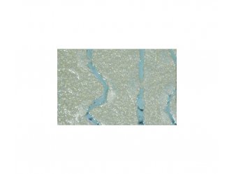 Metallic  flosing colour 50g