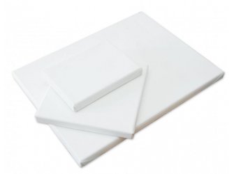 Academy napeto platno 13X18