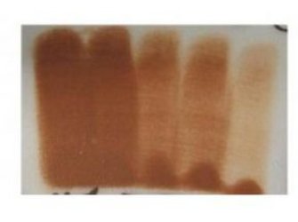 Engoba Terra di siena 473ml