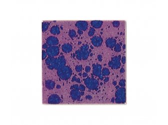 Botz glazura anemone 200ml