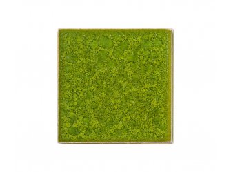 Botz glazura snake green 800ml
